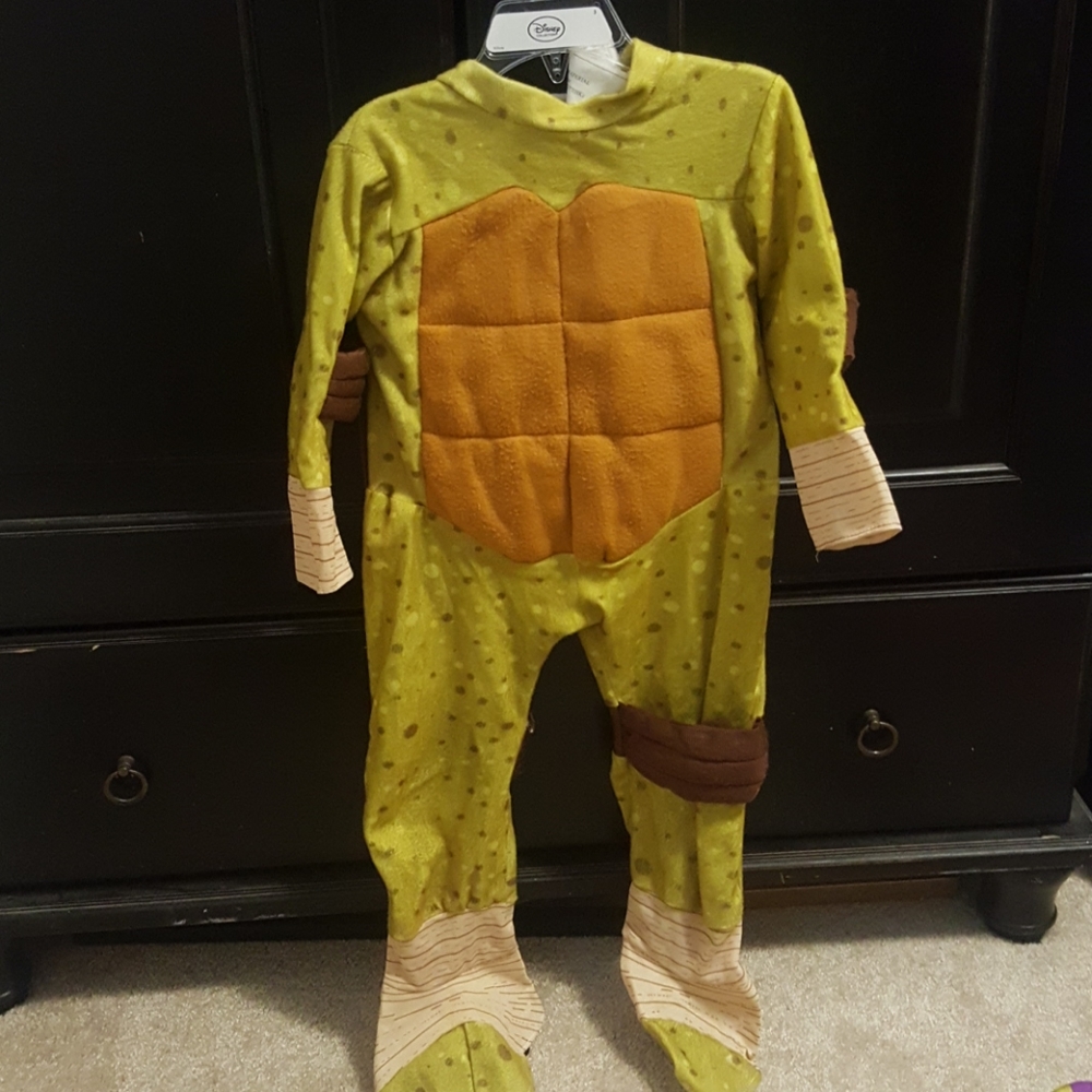 Ninja turtle costume